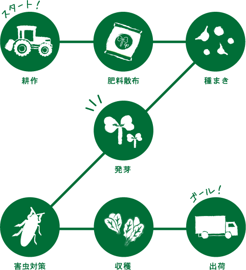 作付けから収穫まで