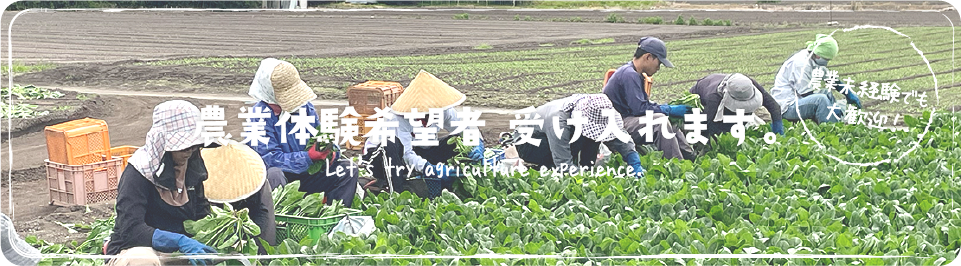 農業体験希望者受け入れます